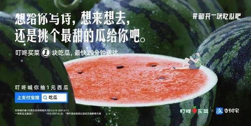 娱乐吃瓜文案怎么弄